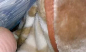 Giovane coppia cazzo nella figa matura violenta ragazzo calda