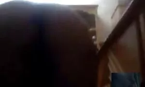 Attrezzato video donne mature grasse per godere di litri di culo sporco